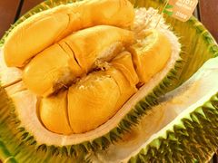 -榴莲BB 四季果园