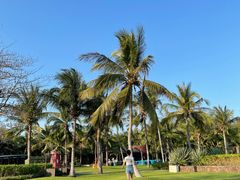 -海棠湾洲际-涛·海底餐厅·美人鱼·自助餐·海底隧道