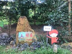 -兴隆华侨农场