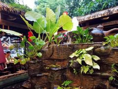 -园林美食城·本土农家菜(杨和镇店)