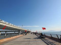 -演武大桥观景平台