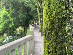 -乌山风景区