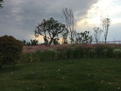 -三岔湖景区