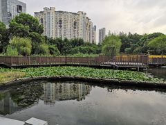 -苏州河梦清园环保主题公园