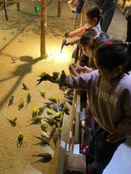 -酷嗒动物文化乐园(cutezoo西溪乐天城店)