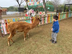 -太阳岛度假酒店