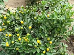 -晶宝温泉农庄