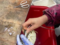 -阳澄湖大闸蟹·琼灵阁牌品牌连锁(吴中总店)