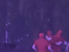 -灵玲国际马戏城
