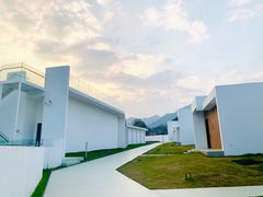 -龙坞茶村