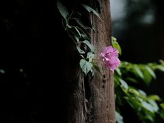 -驿舍·民國老营房院子私房菜(科学会堂店)