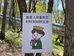 -帽儿山风景区