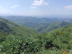 -莫干山风景区