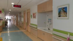 -上海交通大学医学院附属上海儿童医学中心(陆家嘴总院区)