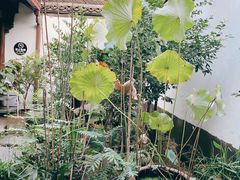 -院子餐厅·大锅菜·老杭帮(桥西直街店)