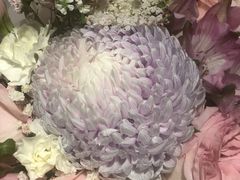 -Olé精品超市(广州太古汇店)