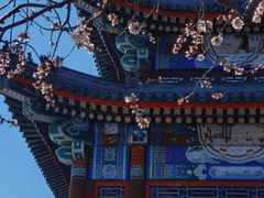 -颐和园