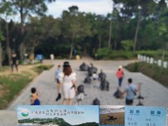 -广东惠东海龟国家级自然保护区