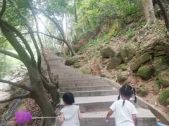 -火炉山森林公园