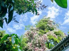 -深圳国际园林花卉博览园