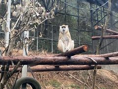 -宁波野生动物园