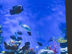 -上海海昌海洋公园