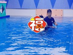 -沥鲨亲子游泳俱乐部(金沙洲中心)