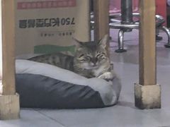 -湘赣风味小厨(娄葑老店)