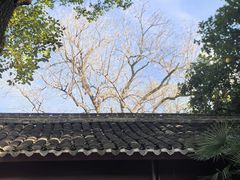 -东钱湖旅游度假区