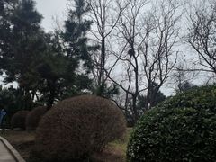 -燕儿岛山公园