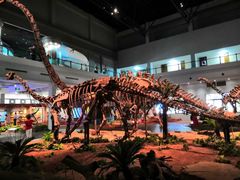 -自贡恐龙博物馆