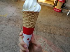 -蜜雪冰城(新华路店)