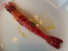 -广州柏悦酒店·悦景轩·粤菜餐厅