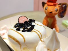 -狐狸和向日葵(北京路店)