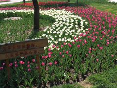 -长春公园(普阳街道)