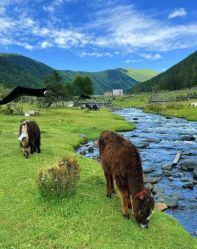 -美肤盾祛痘·问题肌头疗管理中心