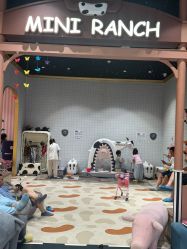 -meland亲子乐园•活动包场(北京亦庄龙湖天街店)