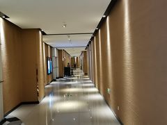 -百丽宫影城(CGS激光苏宁广场店)