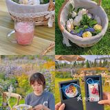 青岛周边游 | 青岛江南百景图 逃离城市喧嚣