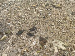 -三亚西岛海洋文化旅游区