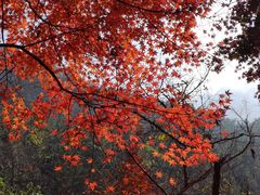 -崂山巨峰游览区