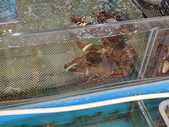 -盛华世家商业广场农贸水产综合批发市场