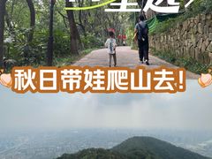 -杭州半山国家森林公园