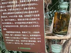 -呀路古热带植物园