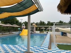 -爪吧宠物乐园 (温榆河示范区店)