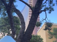 -拉斯维加斯永利酒店