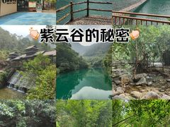 -紫云谷景区