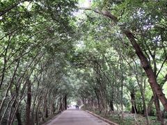 -灵谷景区