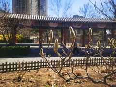 -丰台花园