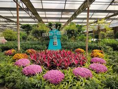-南宫五洲植物乐园